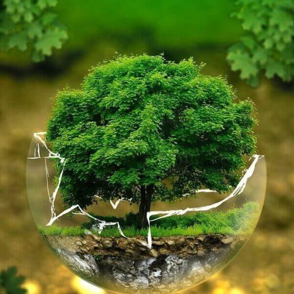 environmental-protection
